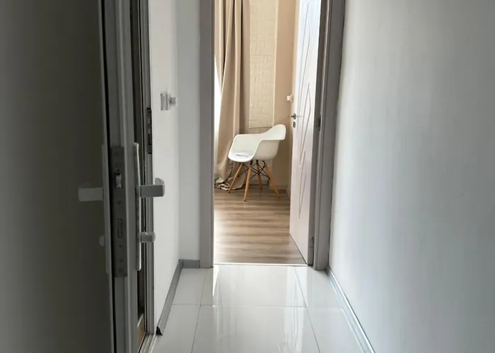 Rose South Park - Free Public Parking, Mountain View, Self Check-in, Near Metro, Stores, Family-friendly Daire